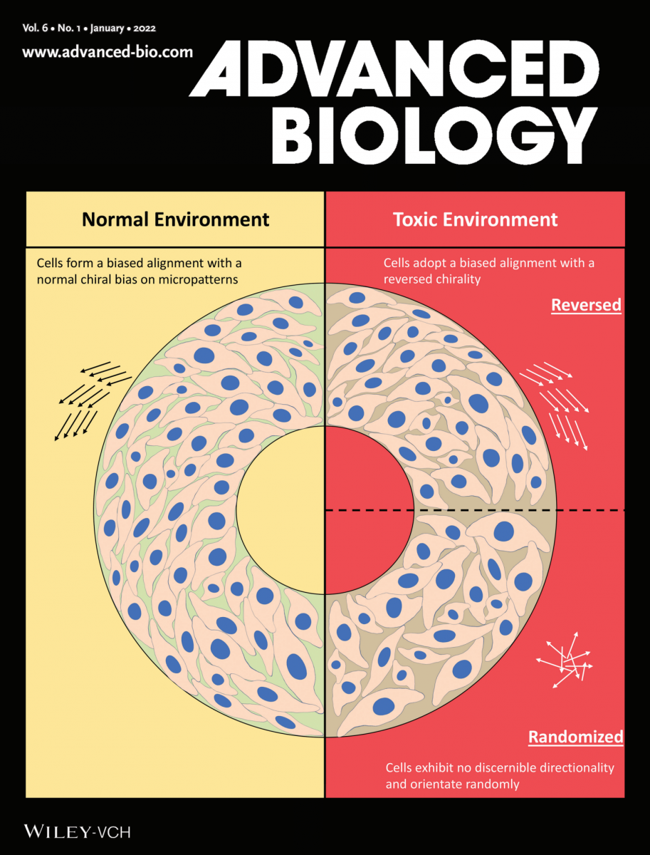 Advanced Biology Cover Article