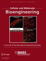 Journal of Cellular and Molecular Bioengineering cover