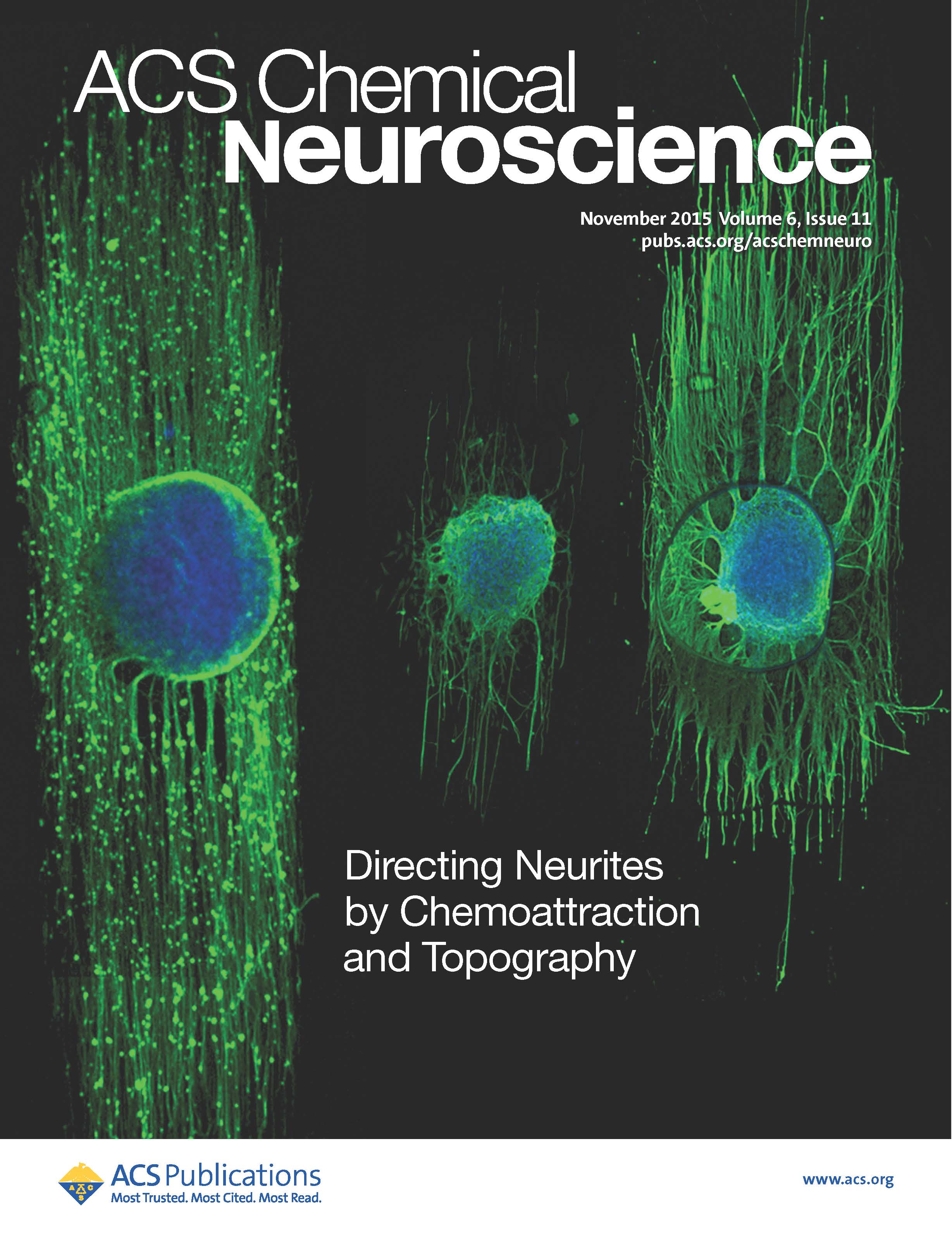 Tænk fremad tommelfinger makker Research from Gilbert Lab featured on the cover of ACS Chemical Neuroscience  | Biomedical Engineering