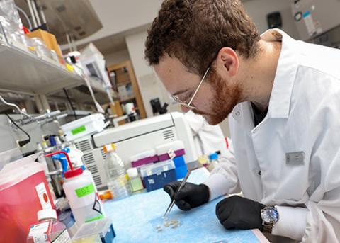 Student works in a lab